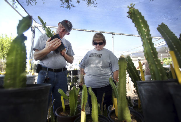 How the masters' gardens grow